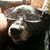 Jeff Johannes's profile image