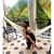 Julianna Lucido-Farhat's profile image
