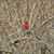 Nancy Lagimoniere's profile image