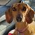 Judy Peterslie Kabat's profile image