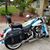 Terrie Dush's profile image