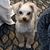Sherri Wymer Pokorney's profile image