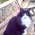 Sheila Fath's profile image