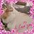 Lori Lewis Hadden's profile image