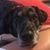 Tain Schlesman's profile image
