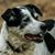 Karen Klautky's profile image