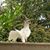 Meryem Burduroglu's profile image