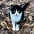 Alisia Cardenas's profile image