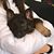 Marleen Janson's profile image