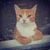 Douglas Sobon's profile image