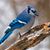 Mary L TenBrink's profile image