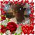 Linda Bell's profile image