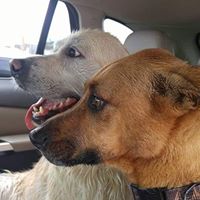 Michelle Roy's profile image