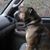 Beth Cook's profile image