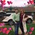 Leticia Hernandez's profile image