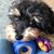 Kathi Freund's profile image
