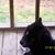 Dianne Seal Ivey's profile image