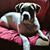 Pennie Urban's profile image