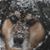 Anita Swearingen's profile image