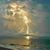 Cindy Cravenho's profile image