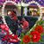 Iris Robles's profile image