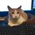 Stephen Ritzel's profile image