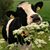 Michele Walton's profile image