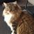 Jenny Frank's profile image