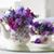 Patti Donelly's profile image