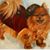 Valerie Bassett's profile image