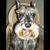 Patricia Figueroa's profile image