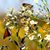 Cindy Deckard Hughes's profile image