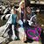 Molly Gardner Withers's profile image
