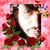 Ibrahim Al Said's profile image