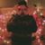 Christian M Bustos's profile image