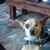 Bainbridge Jim's profile image
