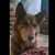Jodi Fawcett Erickson's profile image