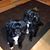 Peg Gerdes's profile image