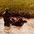 Jacob Layne Edwards's profile image