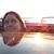 Ronda Ellsworth's profile image