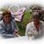 Janis Chubeck's profile image