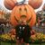 Laura Bransen's profile image