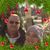 Nicky Glover's profile image