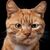 Clint Hirschauer's profile image