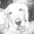 Holly J Houtz's profile image