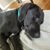 Matt Dimick's profile image