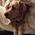 Addie A.'s profile image
