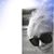 Robin Rich's profile image