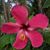 Mindy Heaton's profile image
