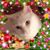 Terra Johnson's profile image